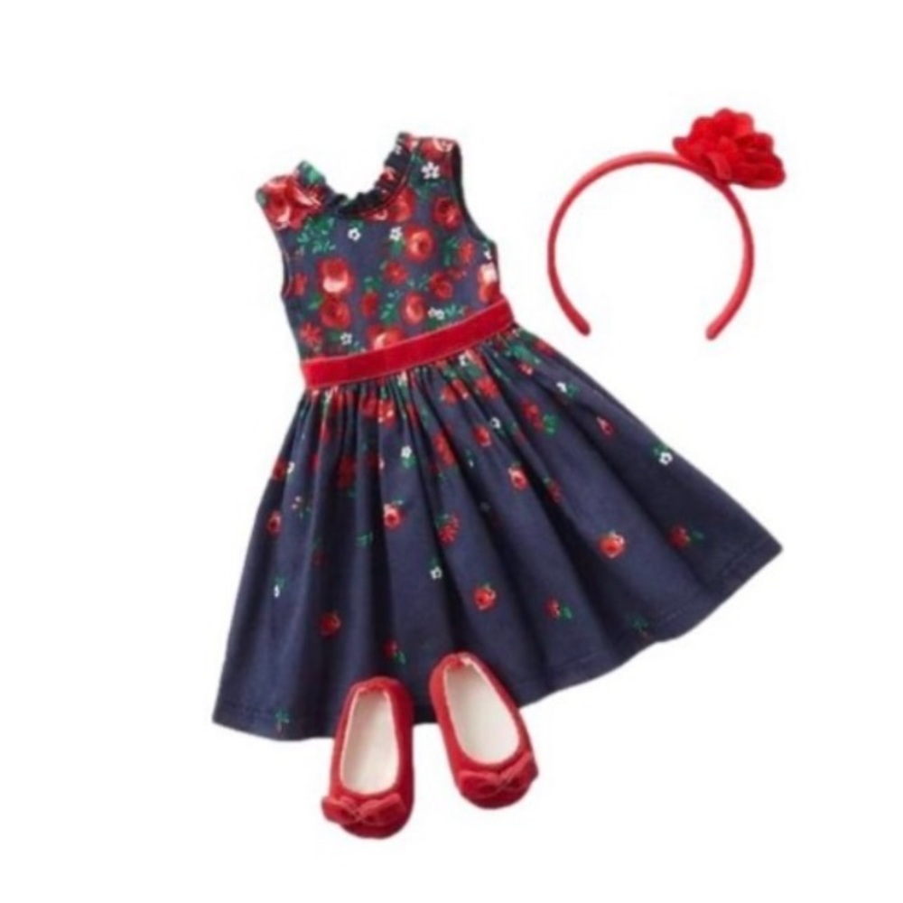 American Girl Wrapped in Roses Janie and Jack Party Dress for Wellie Wishers